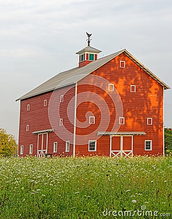 historic red Dutch barn from American Revolutionary War days and field of Queen Anne's Lace Stock Photo