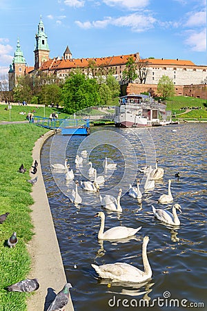 Historic Royal Wawel castle Cathedral. Editorial Stock Photo