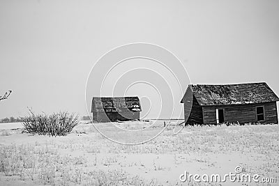 Abondoned farm buildings on a frosty morning. Alberta,Canada Stock Photo