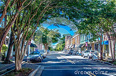 Historic white rose city of york south carolina Editorial Stock Photo