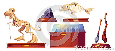 Historical museum exhibition cartoon set Vector Illustration