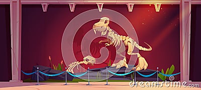 Historical museum exhibition with dinosaur skeletons Vector Illustration