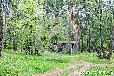 Hitler`s Nazi bunker `Barenholle` near Smolensk Russia. Editorial Stock Photo