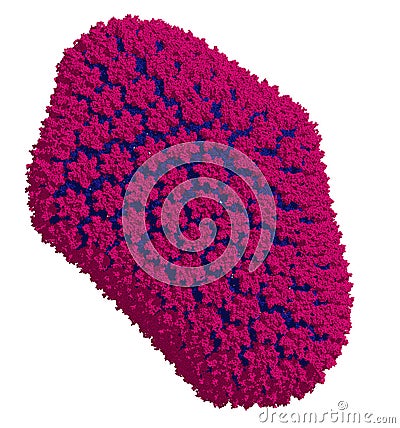 HIV-1 virus capsid. Retrovirus, causative agent of AIDS. Atomic-level structure. Stock Photo