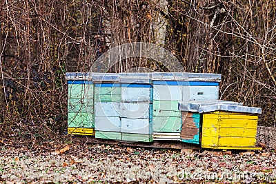 Hive for bees in the wood sprin day close Stock Photo
