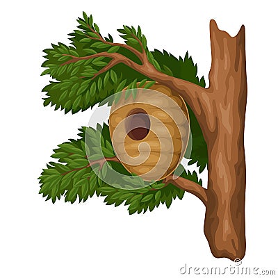 Hive of honey bee, isolated beehive hanging on tree branch, nest house for swarm Vector Illustration