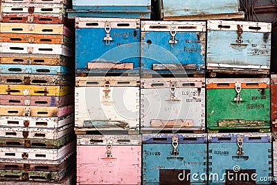 Hives Stock Photo