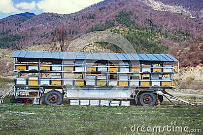 Hives and other beekeeping appliance for breeding bees Stock Photo