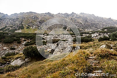 Hlinska dolina valley with Prostredny chrbat mountain ridge in High Tatras mountains in Slovakia Stock Photo