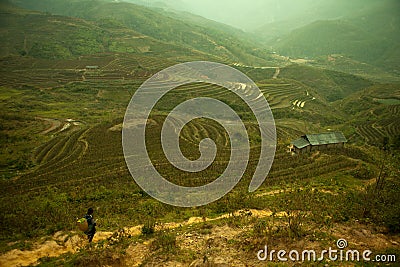 Hmong villager walk at Curve Dirt road with and paddle rice fiel Stock Photo