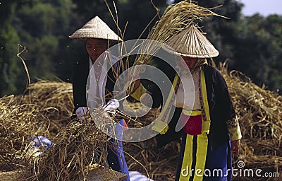 Hmong women Editorial Stock Photo