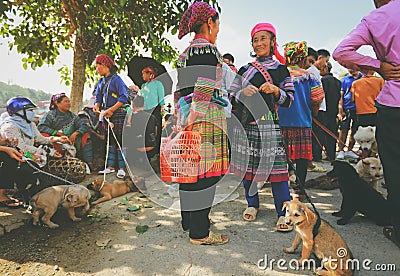 Hmong women selling dogs in Bac Ha market Editorial Stock Photo