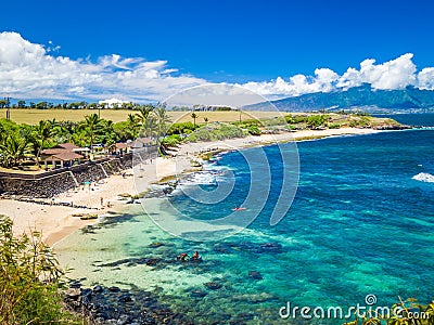 Ho`okipa Beach Park in Maui Hawaii, windsurfing site, big waves and big Turtles Stock Photo