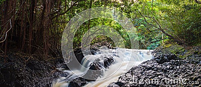 Ho'olawa Stream Cascades Through The Ko'olau Rain Forest Stock Photo