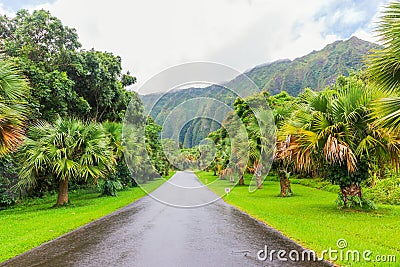 Hoâ€™omaluhia Botanical Garden in Oahu, Hawaii Stock Photo