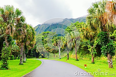 Hoâ€™omaluhia Botanical Garden in Oahu, Hawaii Stock Photo