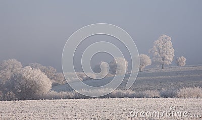 Hoar frost, Cotswolds Stock Photo