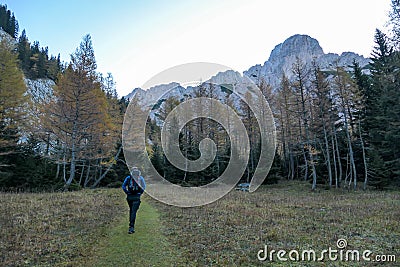 Hochschwab - A man hiking through the forest in Alps Stock Photo