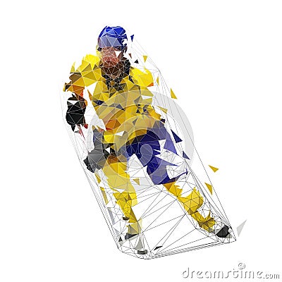 Hockey player, low polygonal isolated vector illustration. Ice hockey, team winter sport Vector Illustration