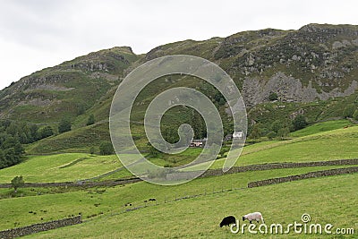 Farmland in Little Langdale 3, in Coniston, in the Lake District, in August, 2020. Stock Photo