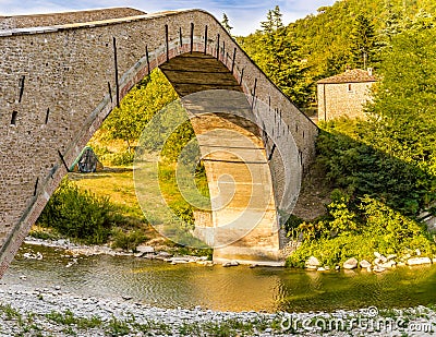 Hog-backed single-span bridge Stock Photo