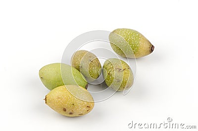 Hog Plum, Yellow Mombin, Spanish Plum, Caja Mirim, Java Plum (Spondias mombin L.) Stock Photo