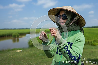 Hoi An, Vietnam, April 21, 2018: Local guide explains rice harvest in Hoi An. Editorial Stock Photo