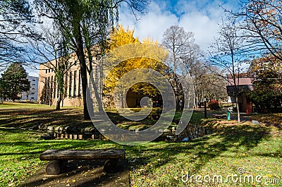 Hokkaido University at Autumn Season. Stock Photo