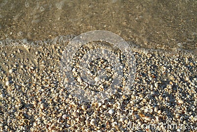 Holbox island beach shells sand texture Stock Photo