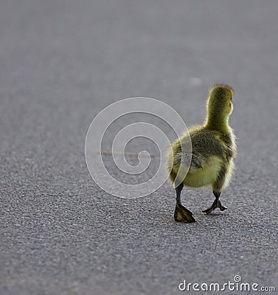 Hold your way Stock Photo