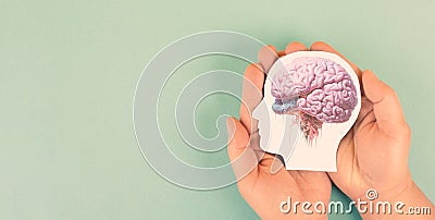 Holding a brain in the hands, Parkinson disease, Alzheimer awardness, mental disorder dementia, psychology problems, adhd Stock Photo