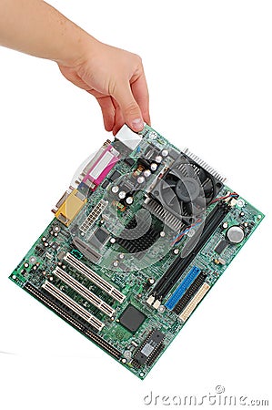 Holding Computer main-board Stock Photo