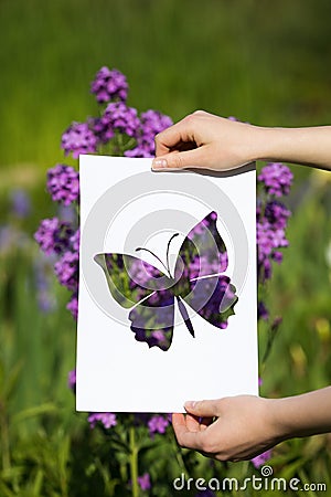 Holding papercut miniature butterfly over blooming flowers Stock Photo