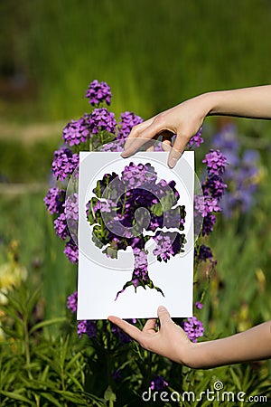 Holding papercut miniature tree over blooming flowers Stock Photo