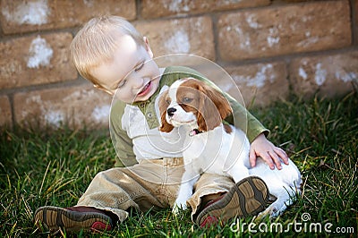 Holding puppy Stock Photo