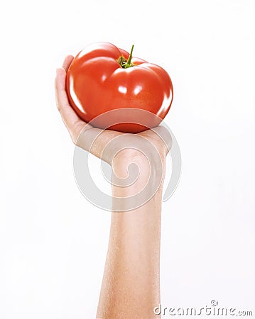 Holding a tomato. Stock Photo