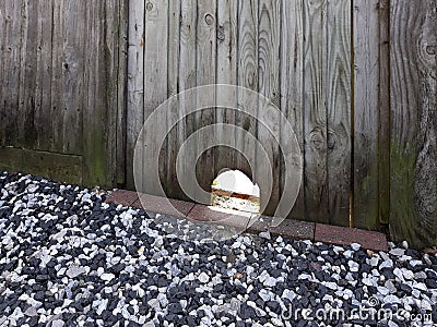 Fence hole Stock Photo