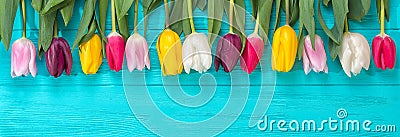 Spring background!A bouquet colorful tulips on blue wooden background.Holiday greeting card for Valentine`s Day, Woman`s Day, Moth Stock Photo