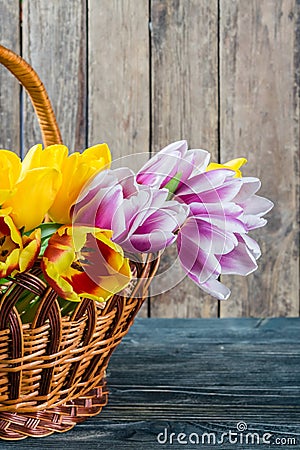 Holiday Postcard with Tulip Flowers Stock Photo