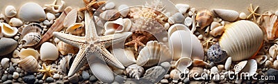 holiday sand banner ocean shell nature beach summer sea tropical. Generative AI. Stock Photo