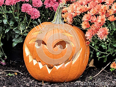 Closeup of Carved Halloween Jack o& x27; Lantern Editorial Stock Photo