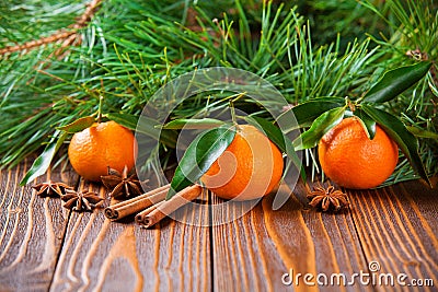 Holiday tangerines with fir branches Stock Photo