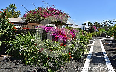 Holiday Villas and Gardens with Bougainvillea and path. Stock Photo