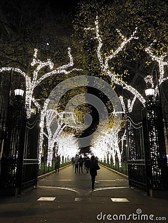 Holiday Winter Lights on Tree Lined Walkway Editorial Stock Photo