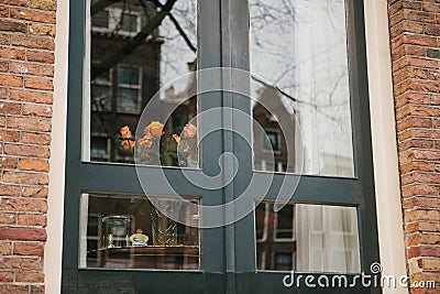 Holland roses in the window in Amsterdam. Reflection of traditional Dutch houses in the window. Celebration. A happy Stock Photo