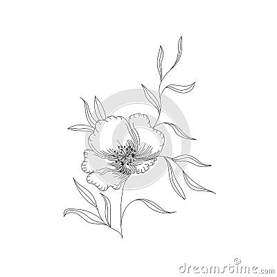 Holland tulips on a white background. Vector. Hand drawn artwork. Love concept for wedding invitations, cards, tickets, Stock Photo