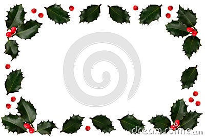 Holly Stock Photo