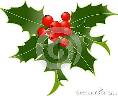 Holly berry Vector Illustration