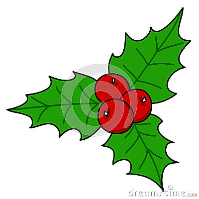 Holly berry Christmas Vector Illustration