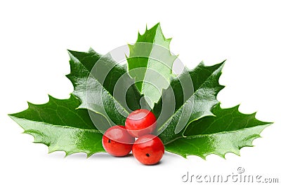 Holly berry leaves isolated Stock Photo